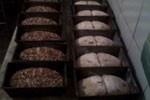 Pane semi e castagne in lievitazione